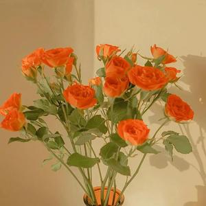 公交车被多人伦㢨系H
